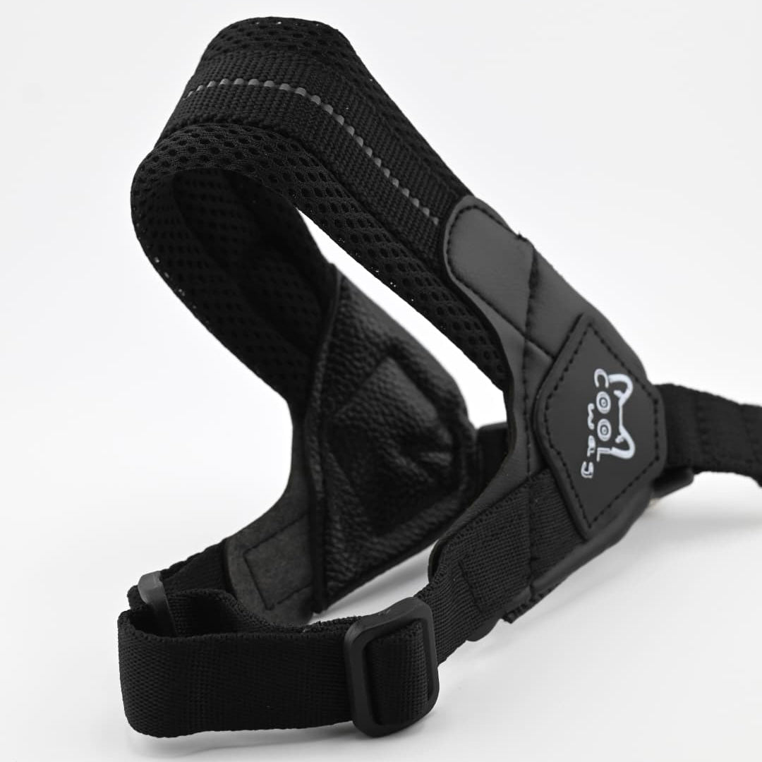 The Everyday Harness – Breathable Air Mesh, Black | Cool Wag