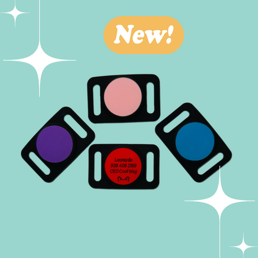 AirTag Holder Personalizado para Mascotas