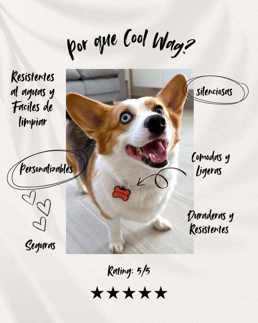 🐾 ¿Por qué tu mascota necesita una placa de identificación Cool Wag?
