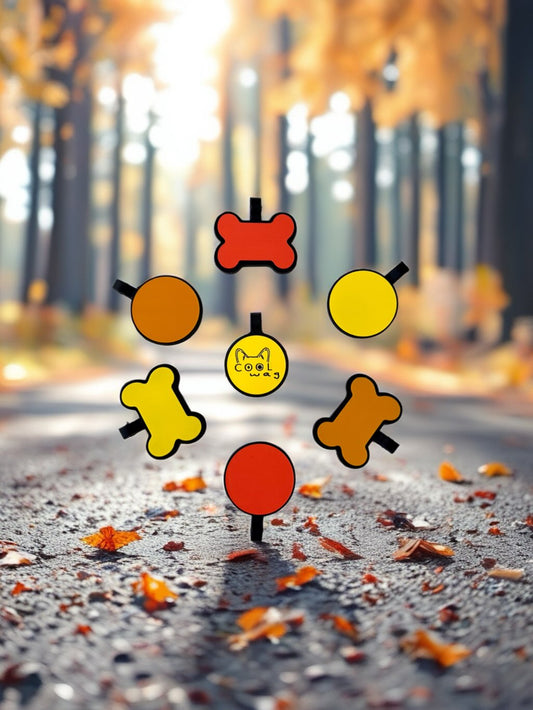 🐾 Cómo elegir la mejor placa de identificación para tu mascota