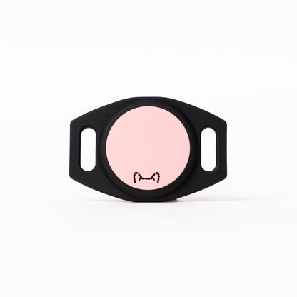 👉 Soporte AirTag Personalizado para Mascotas