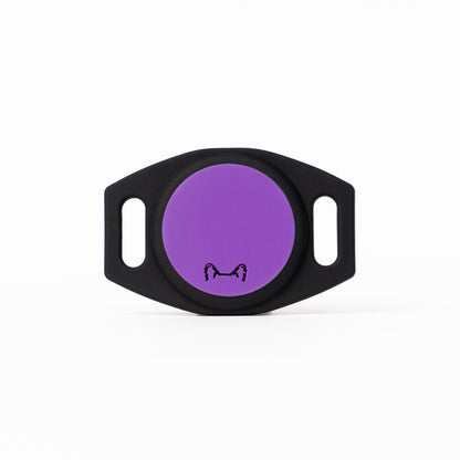 👉 Soporte AirTag Personalizado para Mascotas