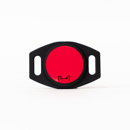 👉 Soporte AirTag Personalizado para Mascotas