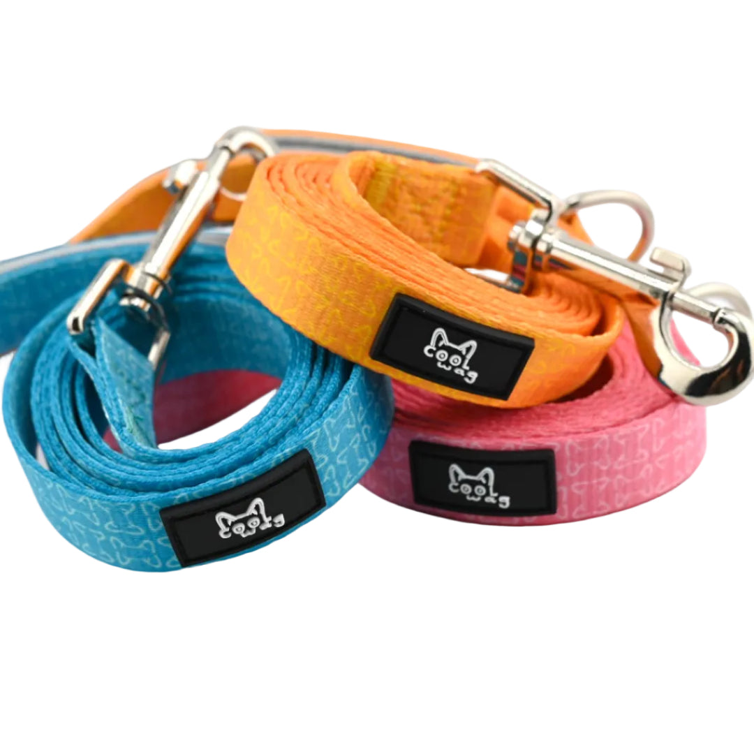 Cool Palette Leash – Blue, Yellow & Pink Dog Leash | Cool Wag