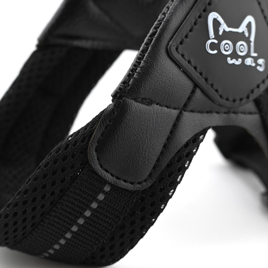 The Everyday Harness – Breathable Air Mesh, Black | Cool Wag