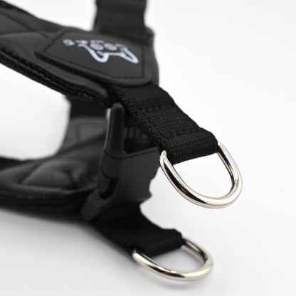 The Everyday Harness – Breathable Air Mesh, Black | Cool Wag