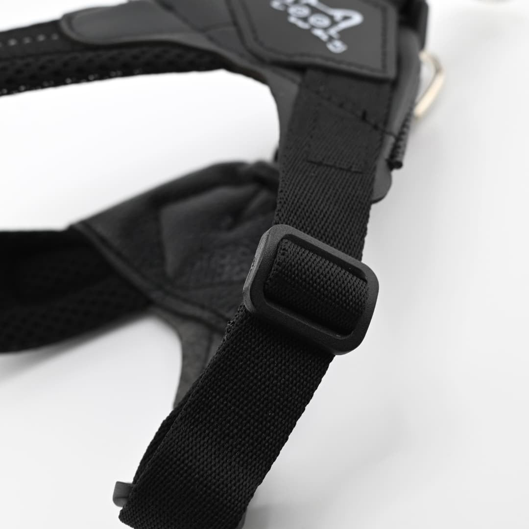 The Everyday Harness – Breathable Air Mesh, Black | Cool Wag