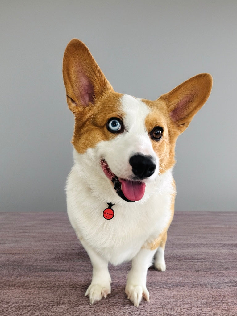 Círculos Mini