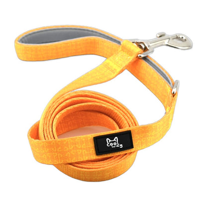 Cool Palette Leash – Solid Color Dog Leash, 5 ft