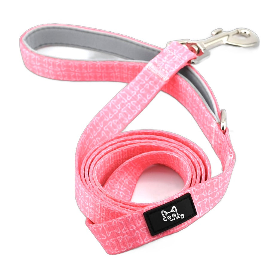 Cool Palette Leash – Solid Color Dog Leash, 5 ft